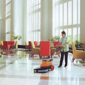 Mechanized Cleaning Services