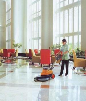 Mechanized Cleaning Services