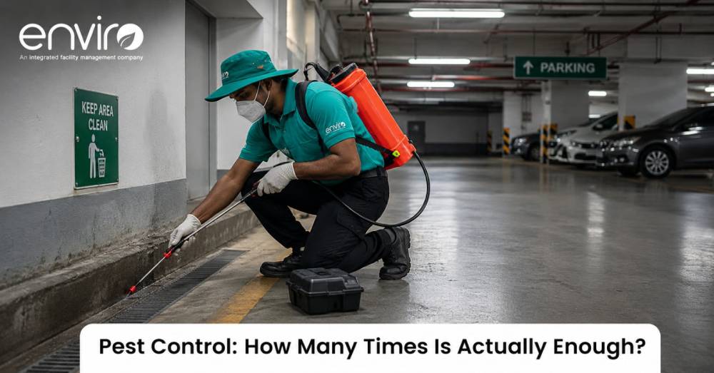 Pest Control: How Many Times Is Actually Enough?