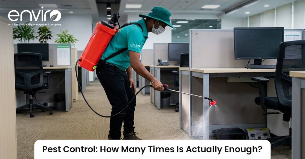 Pest Control: How Many Times Is Actually Enough?