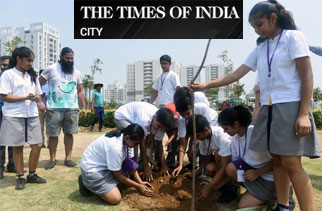 Massive tree plantation drive launched in Gurgaon