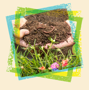 Vermi composting